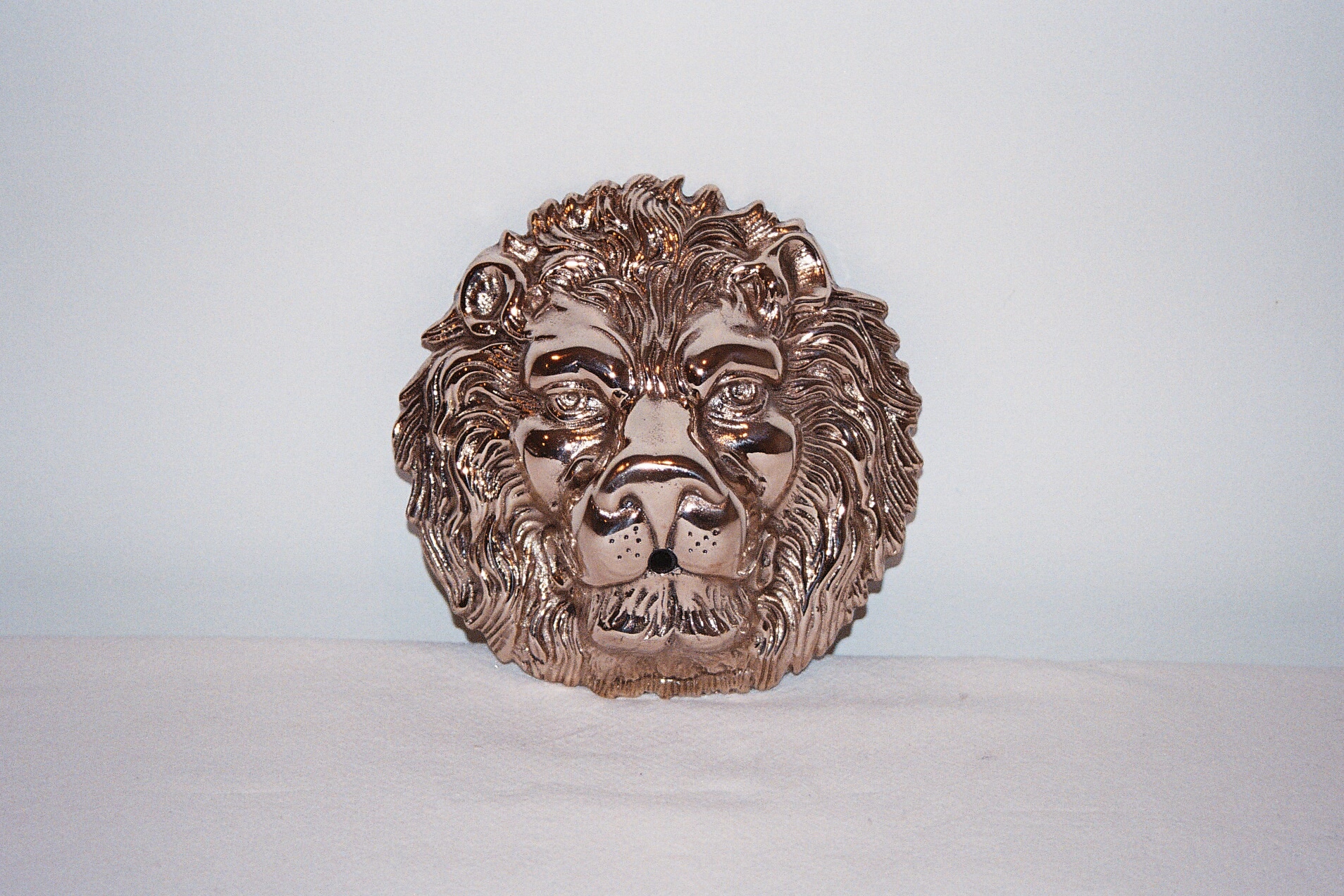 Lion Head After